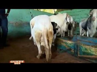 GUETT GUI DU dimanche 14 septembre 2014