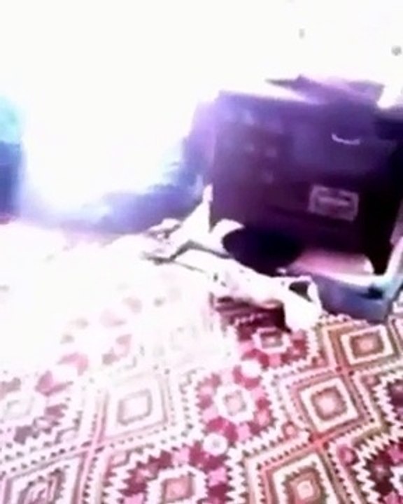 Dedeye Kızan Nine