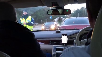 Contrôle d'alcoolémie sur le passager de la voiture !! Bravo la police