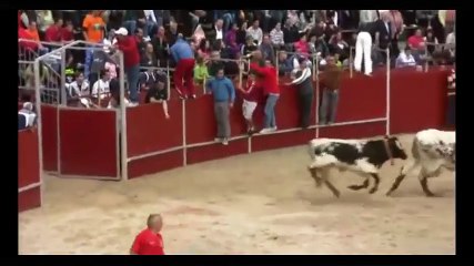 [MP4 480p] Bull Fighting with People - Videos