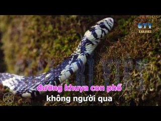 { KARAOKE } Em Yêu Anh -  Phạm Thanh Thảo