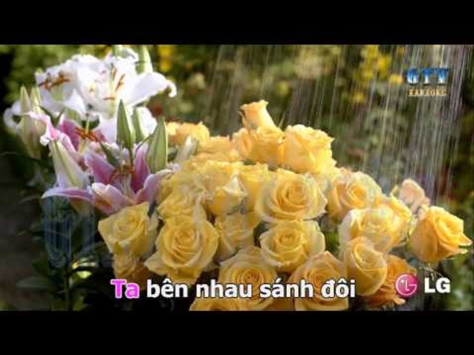 { Karaoke } Dạ Khúc Cho Tình Nhân -  Đàm Vĩnh Hưng