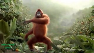 Funny Ape Song. Cartoon Parody. Dance Music Pop Songs/cartoon/new song/cray peoples