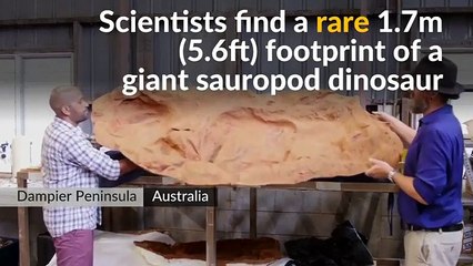 Dinosaur Footprint Found in Australia May be Worlds Largest