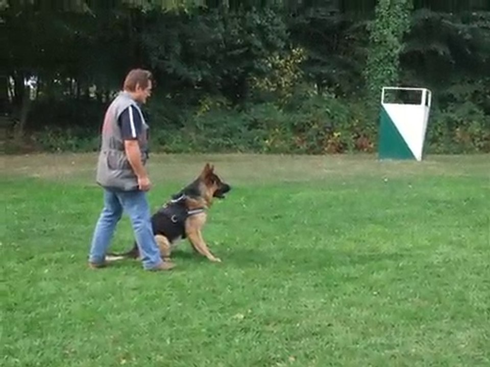 CADOR  rn entraînement