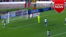 Juan Arce Goal - Bolivia 1-0 Argentina World Cup Qualification 28-03-2017 HD