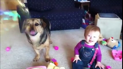 WHEN DOGS & BABIES COLLIDE_HIGH