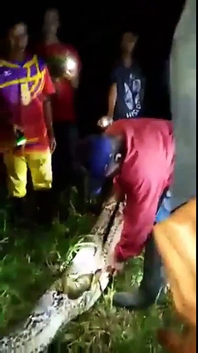 Horrifiante lo que le pasa a este hombre !