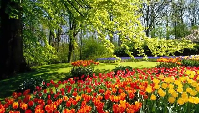 Tanti Auguri l di Buon Compleanno!