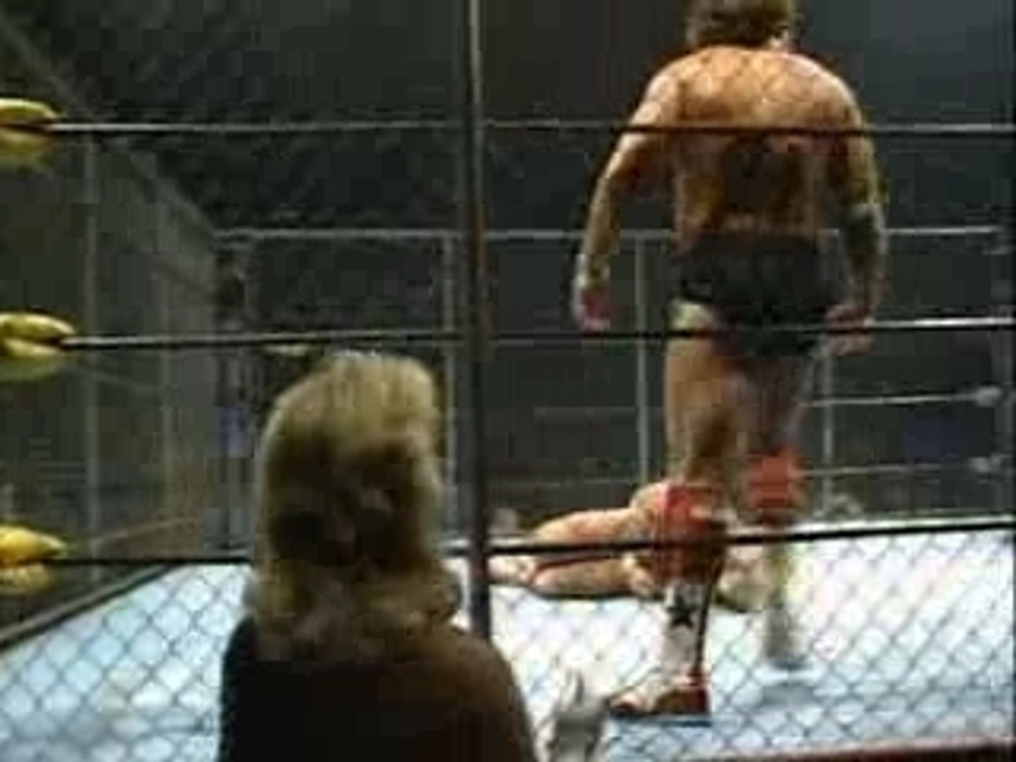 Magnum TA vs. Tully Blanchard - Steel Cage I Quit Match - video Dailymotion