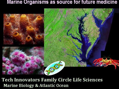 Tech Innovators FC Medicine From Sea