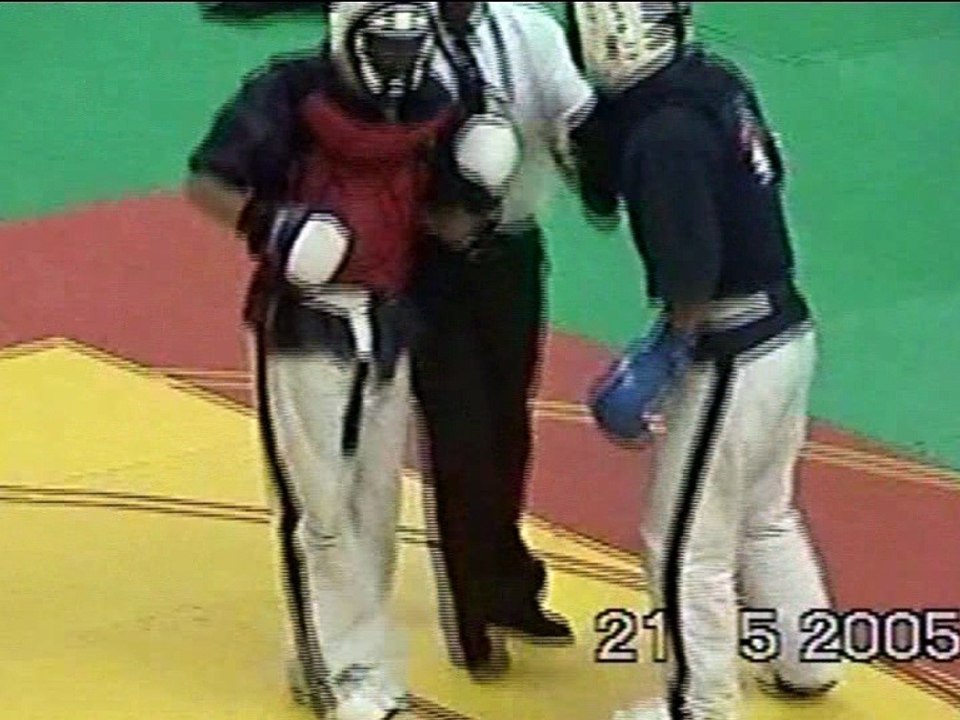 DEMONSTRATIONS YOSEIKAN BUDO YONNAIS