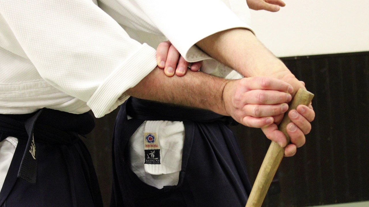 Les sélections techniques Aikido de Michel Erb Sensei Part 28