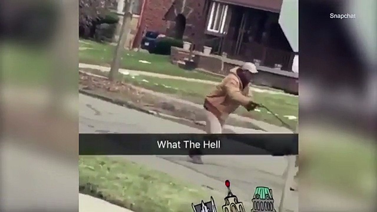 Surreal Moment man walks Kangaroo with a leash in Detroit