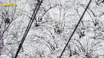 Yiğitözü Köyü - Karlı Bir Havada Şahin Uçtu (Zanikede Bir Şahin)