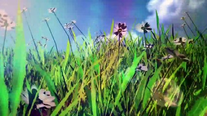 Time Lapse Tree Growing - Animation