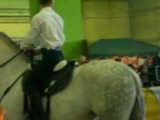 salon du cheval - voltige