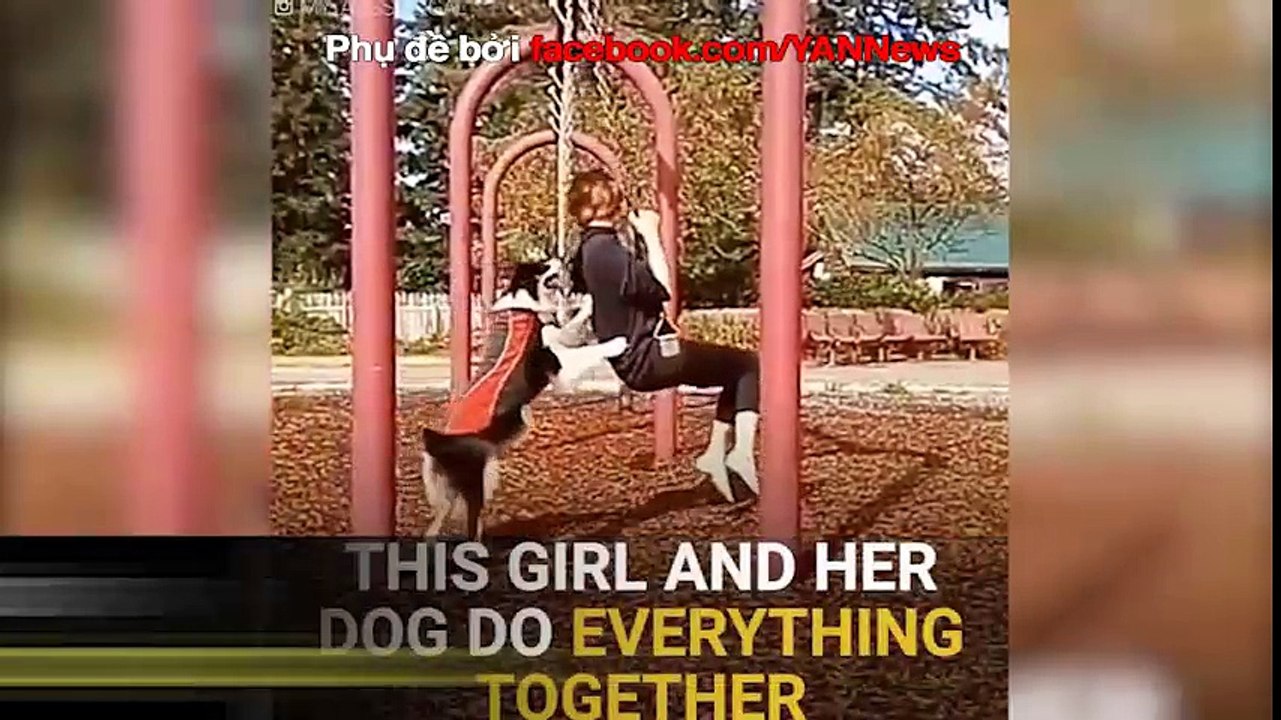 Đây chính là lý do giải thích vì sao "Bồ thì không có nhưng chó phải có 1 con"