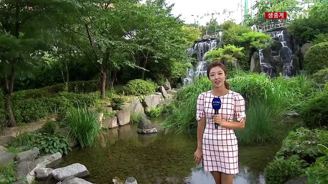 [날씨] 이틀 만에 폭염주의보...내일도 무더위 속 곳곳 소나기 / YTN (Yes! Top News)