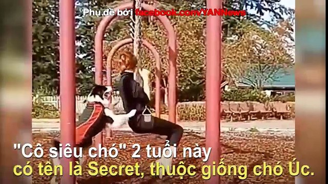Đây chính là lý do giải thích vì sao Bồ thì không có nhưng chó phải có 1 con
