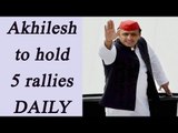 UP Elections 2017: Akhilesh Yadav to hold five rallies everyday | Oneindia News