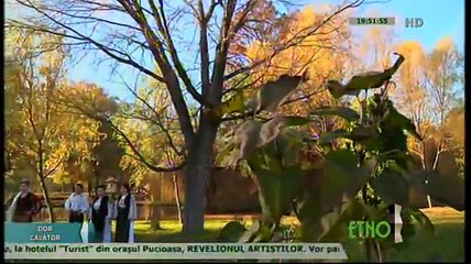 Florentina Lutu - De ce nu pot eu canta (Dor calator - ETNO TV - 14.12.2015)