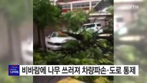 비바람에 나무 쓰러져 차량 파손·도로 통제 / YTN (Yes! Top News)