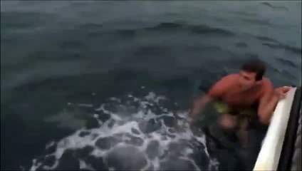 Ce nageur se fait attaquer par un requin ! OMG