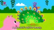 Did You Ever See My Tail- - Animal Songs - PINKFONG Songs for Children
