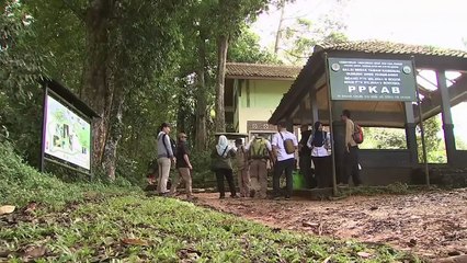 Fears over wildlife intensify as Trump development begins