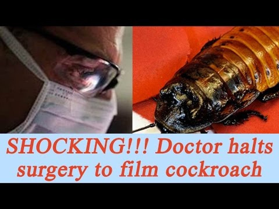 Thane Doctor halts surgery to film cockroach inside operation theatre | Oneindia news