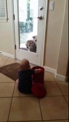 Un bébé mange les os du chien pendant qu'il est dehors