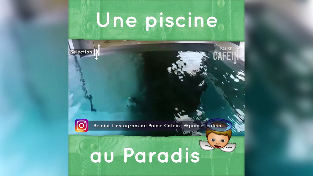 Découverte : il y a une piscine au Paradis !