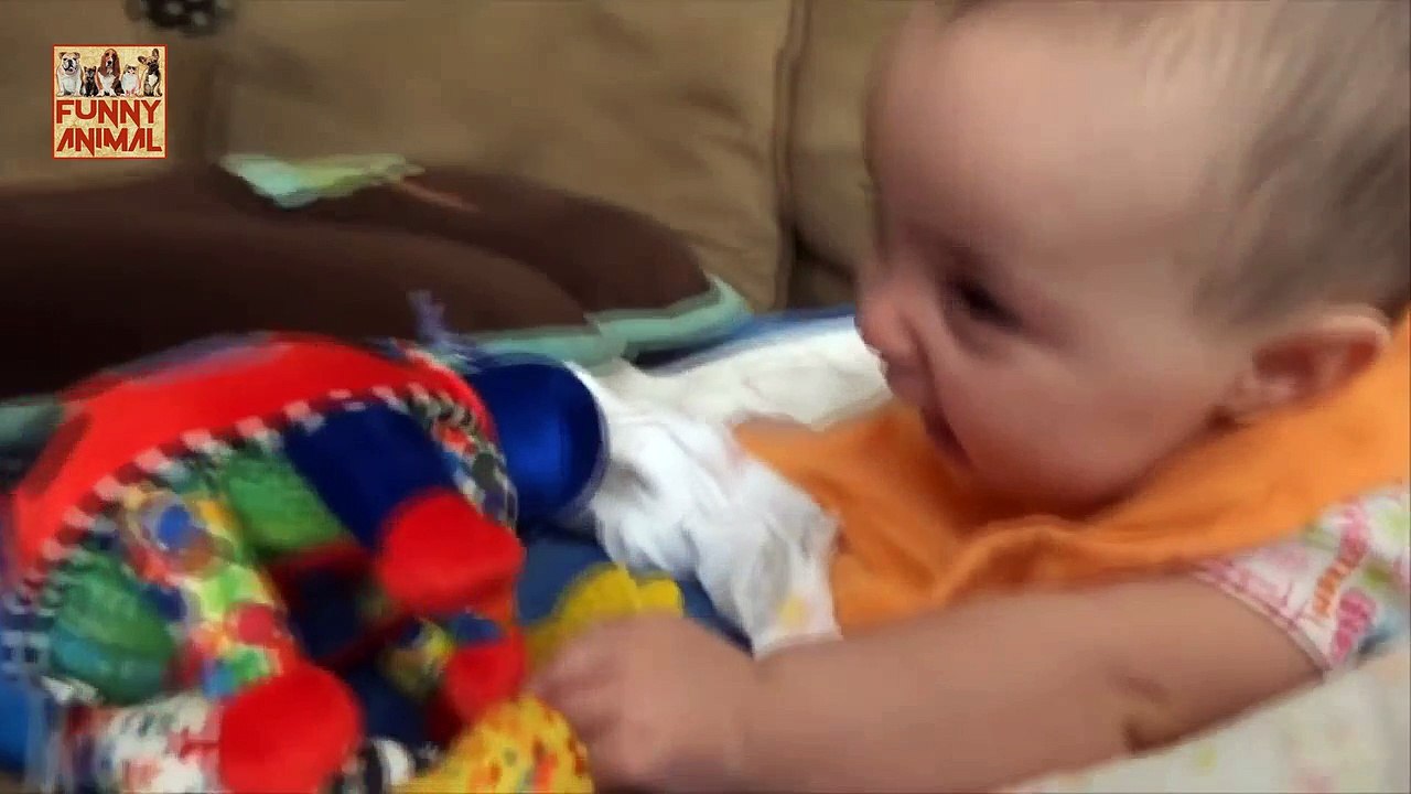 Pitbull Love Baby - Pitbull amor bebé