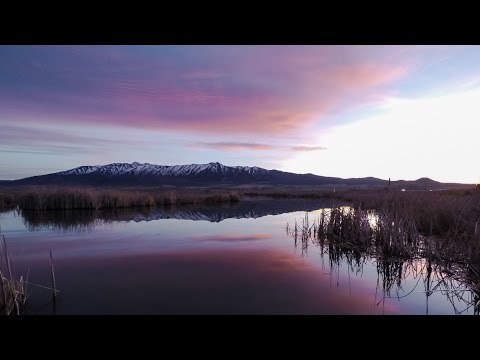 Five Separate Time Lapses Filmed in Exact Same Location