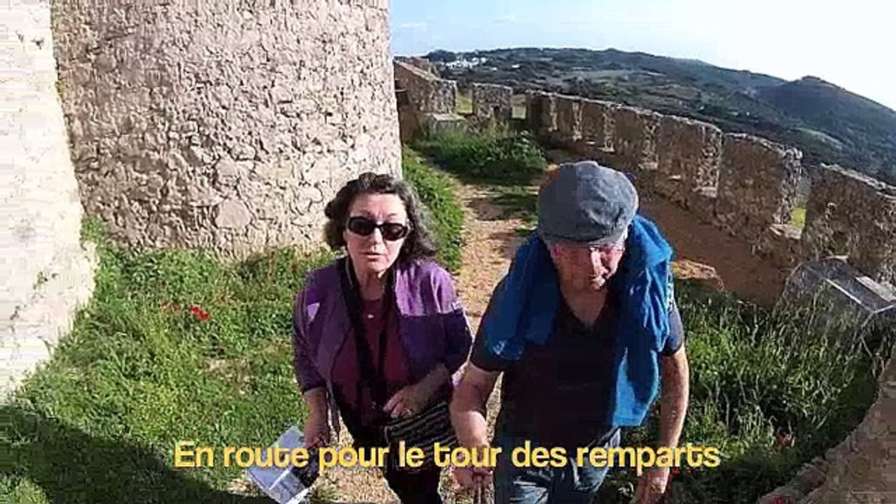 Port film 7