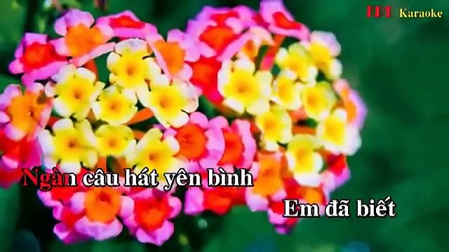 [Khuya Cafe - Karaoke] Ước gì (tone nam)