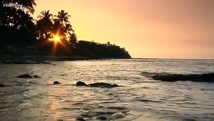 ТАТЬЯНА СНЕЖИНА МЫ В ЭТОЙ ЖИЗНИ ТОЛЬКО ГОСТИ