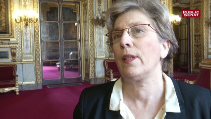 Lienemann : « La grande masse des adhérents du PS n’approuvent pas l’attitude de Manuel Valls »