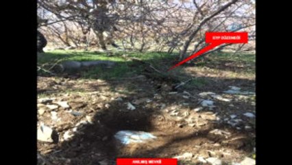 Cudi Dağı'nda 11 Sığınak ve Mağara İmha Edildi