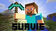 Minecraft survie