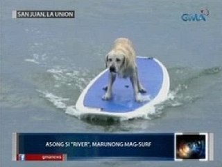 SAKSI: Asong si 'River' ng La Union, marunong mag-surf