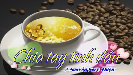 [Karaoke] CHIA TAY TÌNH ĐẦU - Nguyễn Ngọc Thiện (Giọng Nam)