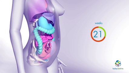 Your body change during pregnancy