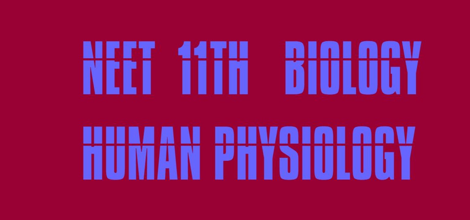 12th neet aiims biology ncert chapter 21 nervous system