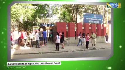 La fièvre jaune se rapproche des villes au Brésil