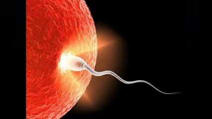 How to conceive a Baby Boy ?