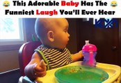 This Adorable Baby Has The Funniest Laugh You’ll Ever Hear.