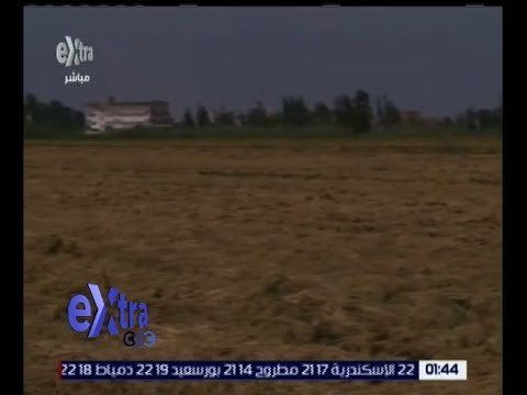 غرفة الأخبار | مناقصة السلع التموينية ترفع أسعار الأرز الشعير 150 جنيهاً