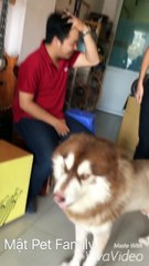Mật bị lừa... Khổ thân chưa, tìm mãi sao không thấy gì cả^^